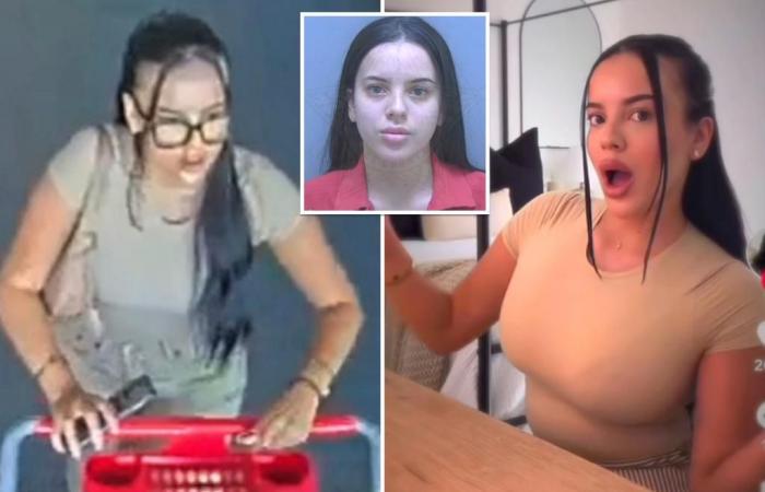 Die TikTok-Influencerin Marlena Velez wurde verhaftet, nachdem sie angeblich im Laden gestohlene Target-Waren auf einem Video zur Schau gestellt hatte