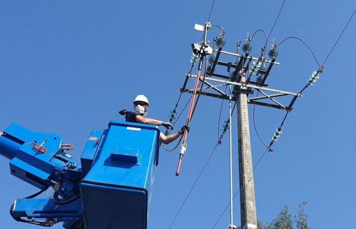 Nach dem Sturm versuchen die Abonnenten in der Loire-Atlantique und der Vendée, die Stromversorgung selbst wiederherzustellen