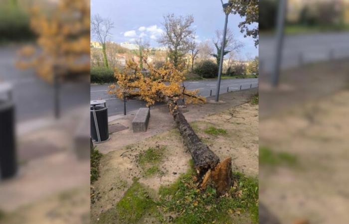 Sturm Bert: beeindruckende Schäden in der Auvergne-Rhône-Alpes