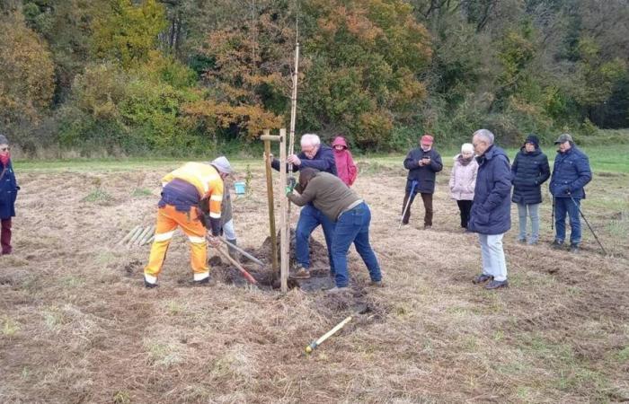 Der Mitmachwald von Verrières-en-Anjou wächst und wurzelt