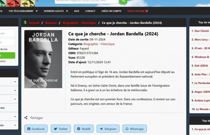 Jordan Bardellas Buch „What I’m looking for“ ist ein Hit auf illegalen Download-Plattformen