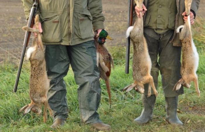 Haute-Marne wird 450.000 Euro öffentliche Gelder zur Unterstützung der Jagd ausgeben!