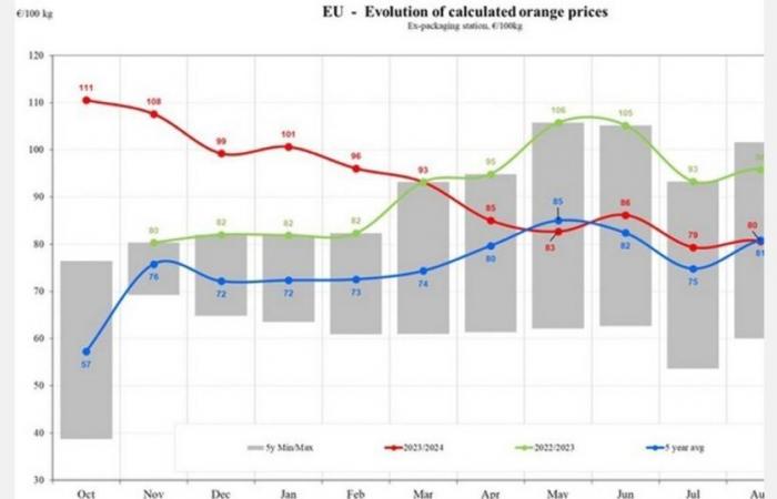 Die Orangenpreise in der EU fallen im Jahr 2024 um 17,83 %