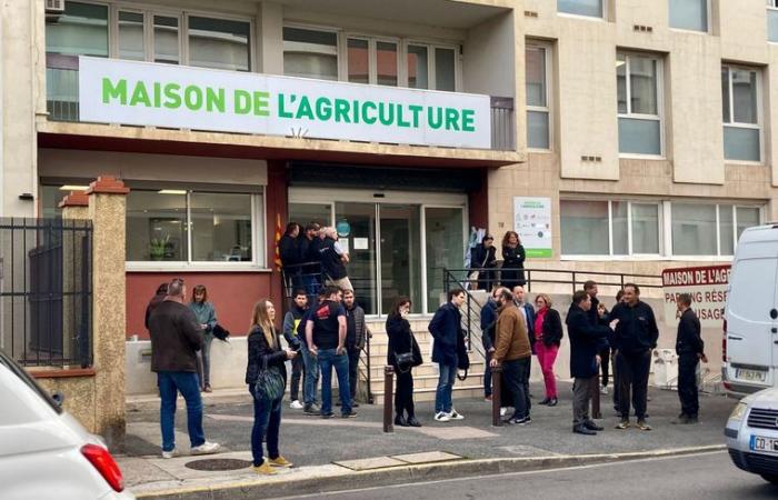 LIVE. Wütende Bauern: Ende der Blockade der Südmaut der A9 in Perpignan, an diesem Dienstagabend