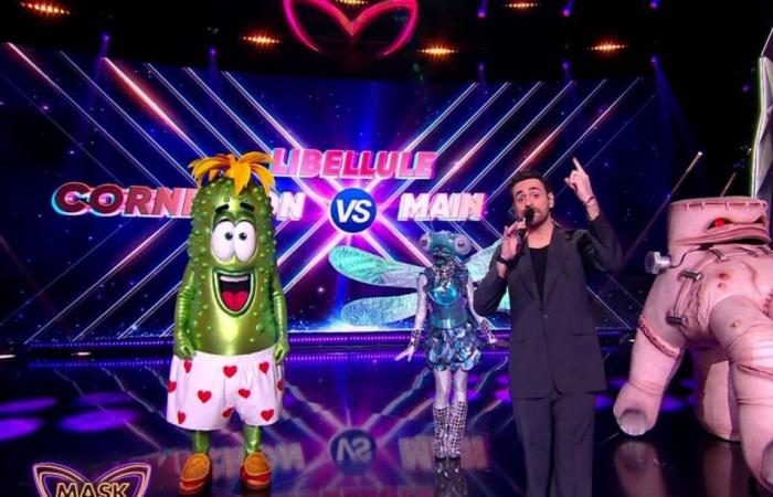 Camille Combal und „Mask Singer“: die völlig unerwartete Ankündigung von TF1