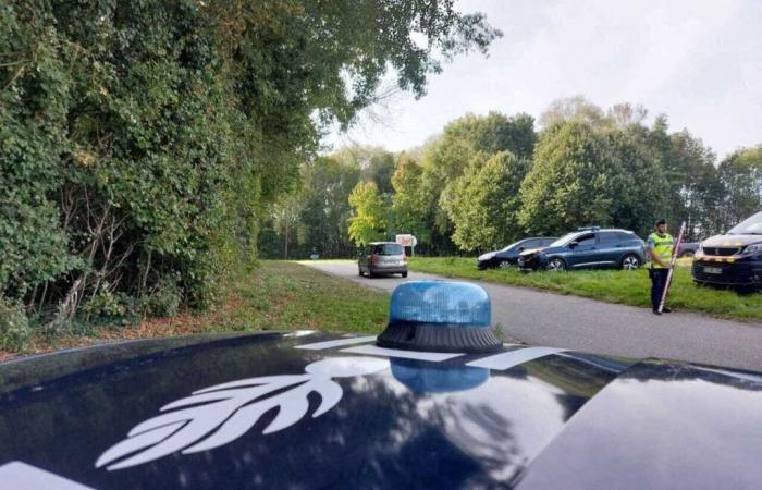 Auda. Verdächtiges Auto von der Polizei gesichtet, Verfolgungsjagd endet im Schilf