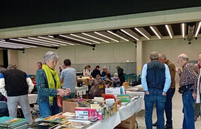 Onet-le-Château. Gebrauchte Bücher und Schallplatten standen im Athyrium im Rampenlicht