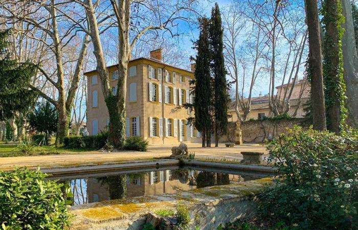 Ausstellungen, Stadtführungen, spannende Besichtigungen … Aix-en-Provence bereitet eine grandiose Hommage an Cézanne vor