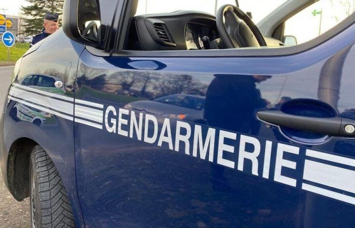 Beunruhigendes Verschwinden eines Teenager-Mädchens in Côtes d’Armor