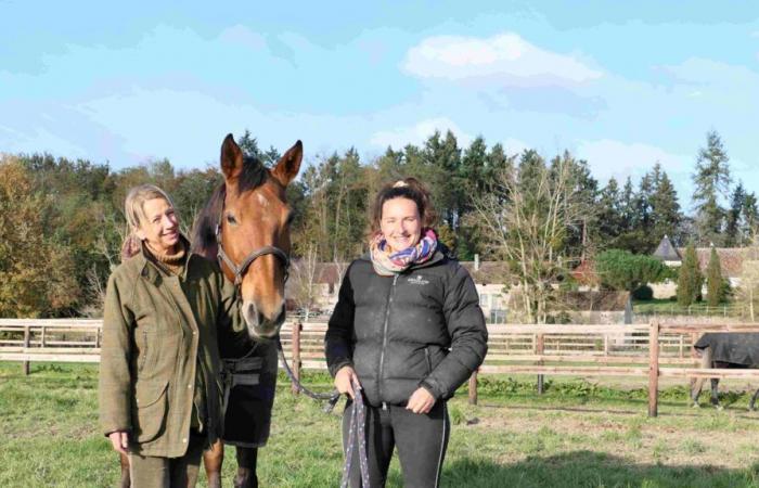 die Wege von Harambure, einem Gebiet, in dem das Pferd König ist