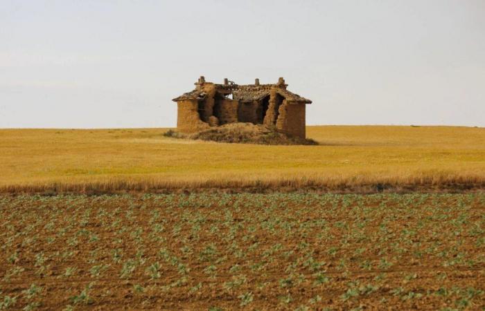 Kastilien und León: Hilfe für Unternehmer in Tierra de Campos aufgerufen