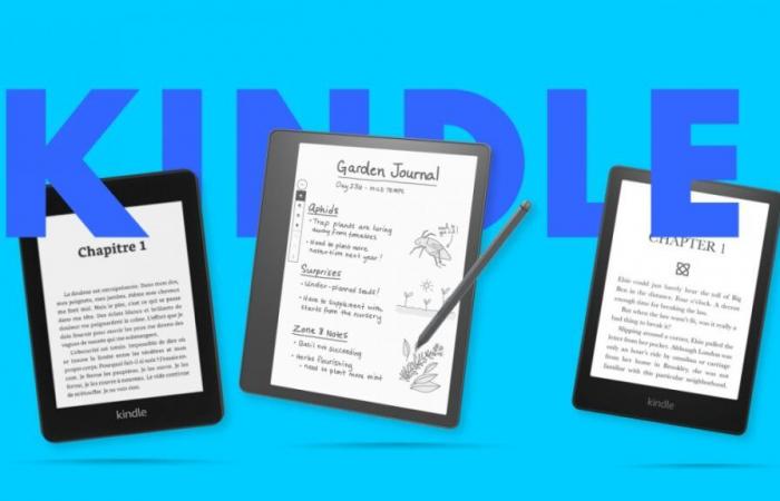 Welchen Kindle E-Reader kaufen, um Ihre Lieblingsbücher zu lesen?