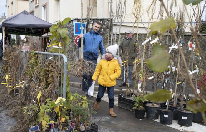 Trotz Schnee und Sturm überlebt diese Orne-Messe: „Es war kompliziert“