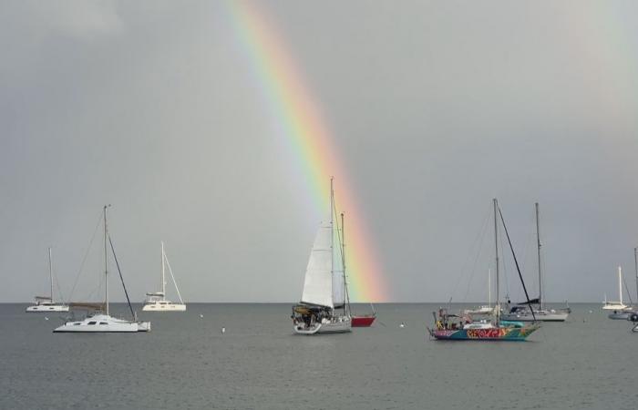 Ankunft der beiden Amel-Yachten Thauride V und Vagalonga in Marie-Galante, Maryse Etzol im Anmarsch