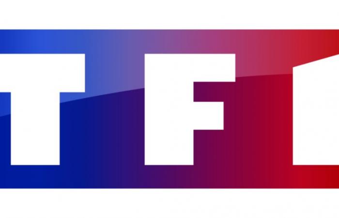 TF1 arbeitet mit Netflix zusammen, um im Jahr 2025 gemeinsam eine tägliche Serie auszustrahlen