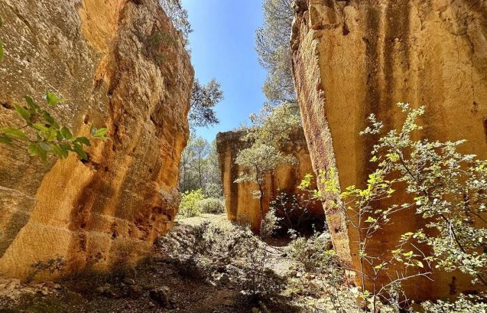 Ausstellungen, Stadtführungen, spannende Besichtigungen … Aix-en-Provence bereitet eine grandiose Hommage an Cézanne vor