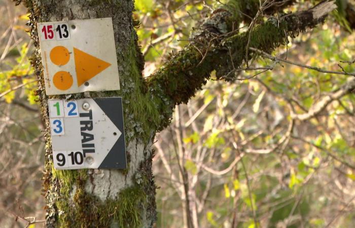 „Pariser, Toulouser, Lyoner, Bretonen, ein paar Ausländer …“ Le Loup Blanc, ein nationaler Wanderweg in voller Vorbereitung