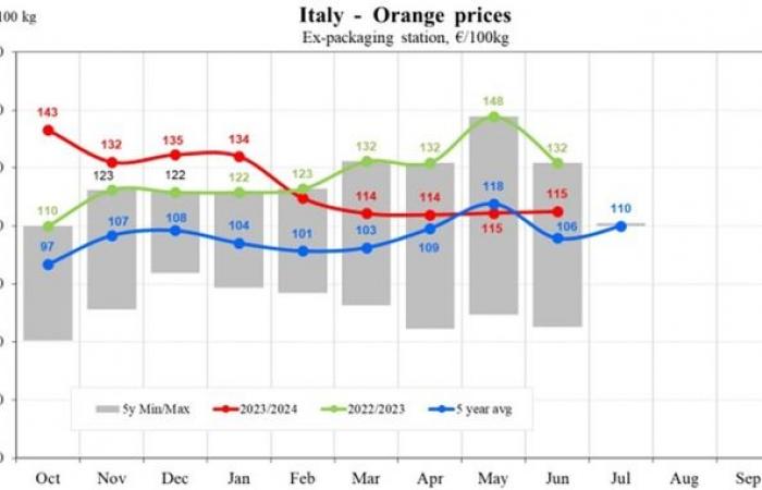 Die Orangenpreise in der EU fallen im Jahr 2024 um 17,83 %