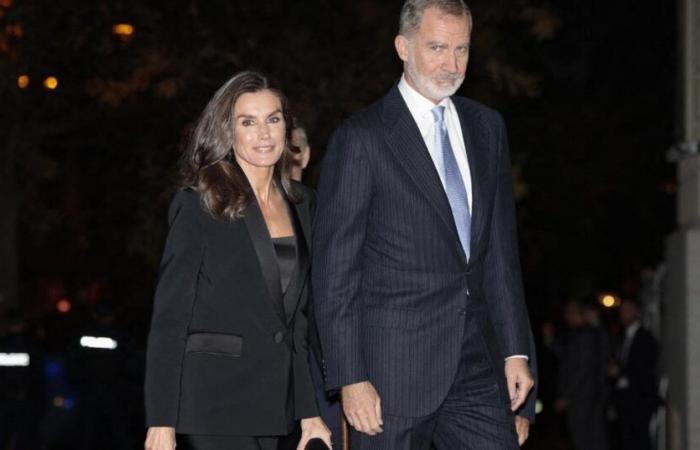 Das neue offizielle Porträt von Felipe und Letizia aus Spanien wurde enthüllt