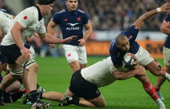 Rugby. Ein Spiel Frankreich – Neuseeland in den USA im Jahr 2025?