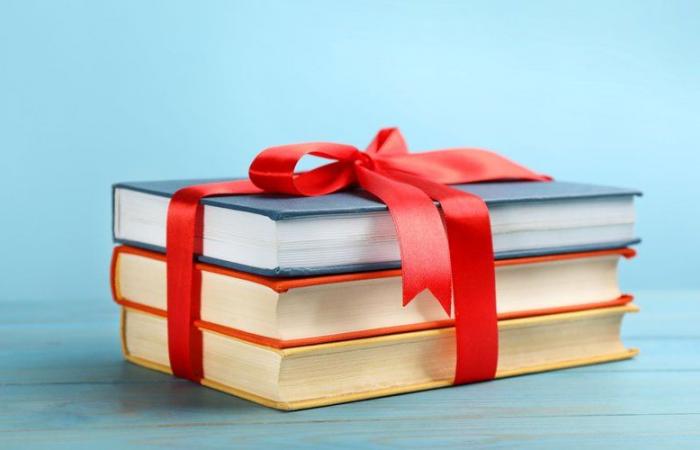 Weihnachtsgeschenkidee 2024: Welches Buch schenkt man einem Modefan? Entdecken Sie die Little Book-Kollektion