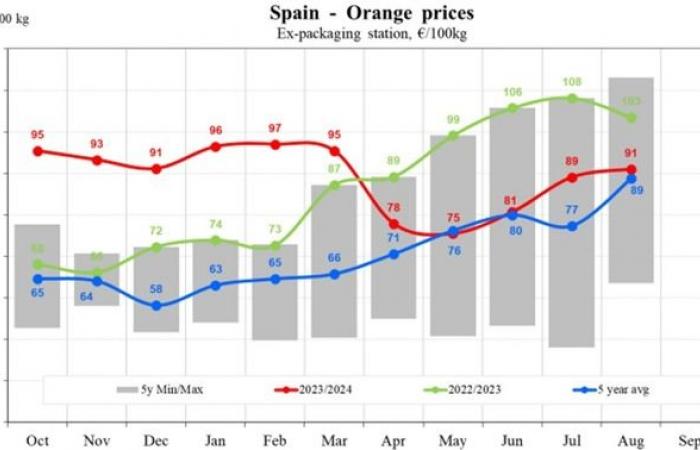 Die Orangenpreise in der EU fallen im Jahr 2024 um 17,83 %