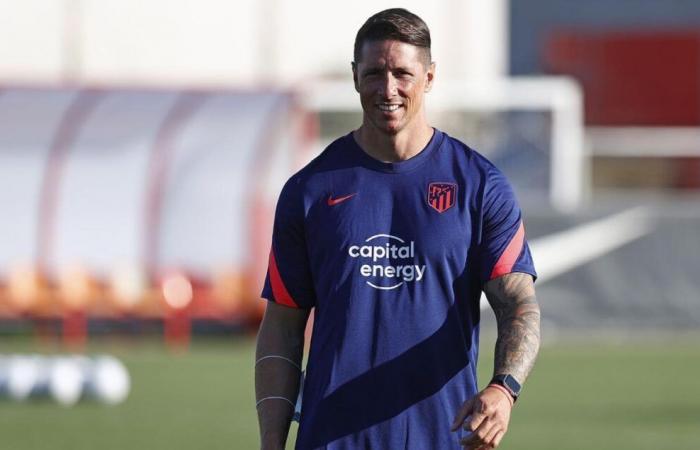 Die Legende von Liverpool und Atletico Madrid, Fernando Torres, lehnt Managementangebot ab