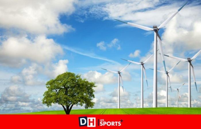 Wie viel verdienen wir im Energie- und Umweltbereich?