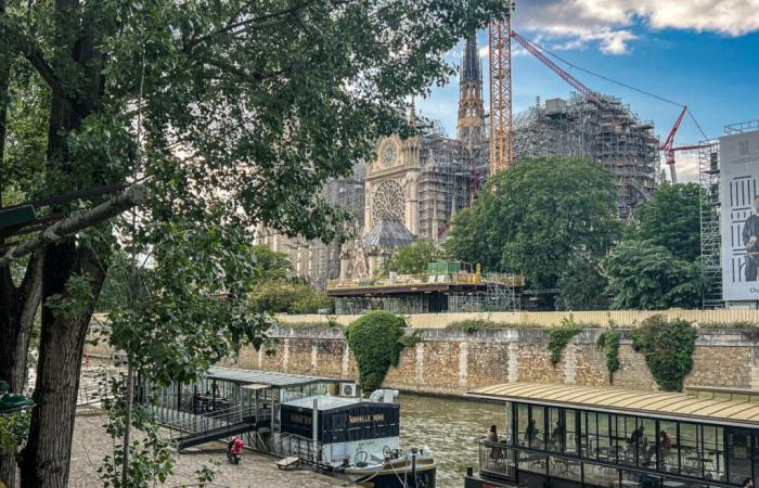 Wiedereröffnung von Notre-Dame de Paris: Die Konzertveranstaltung mit den Künstlern wird für den 7. Dezember erwartet