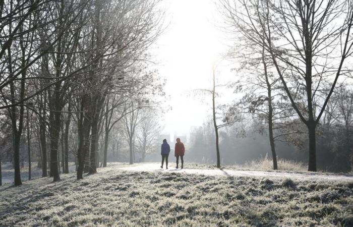 Wird es an Weihnachten Schnee geben? Temperaturen, Niederschläge … der Wettertrend für den Monat Dezember