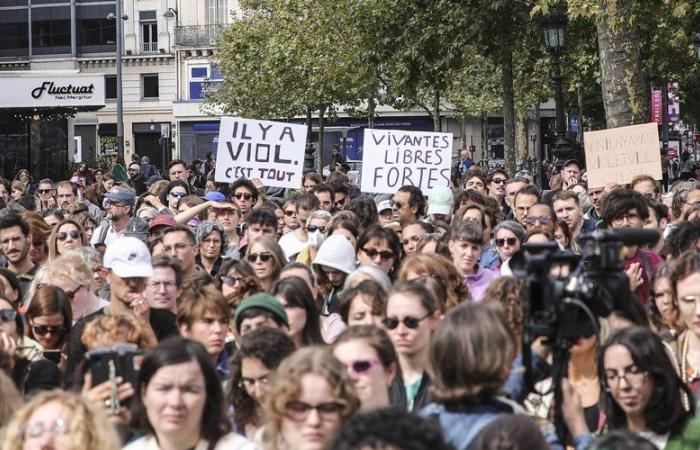 Mazan-Vergewaltigungsprozess: Strafen von 10 bis 13 Jahren Gefängnis gegen 19 der 50 Mitangeklagten vor dem Strafgericht Vaucluse gefordert