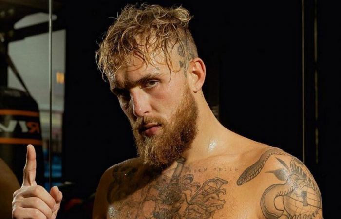 Jake Paul wird vom ehemaligen UFC-Champion herausgefordert