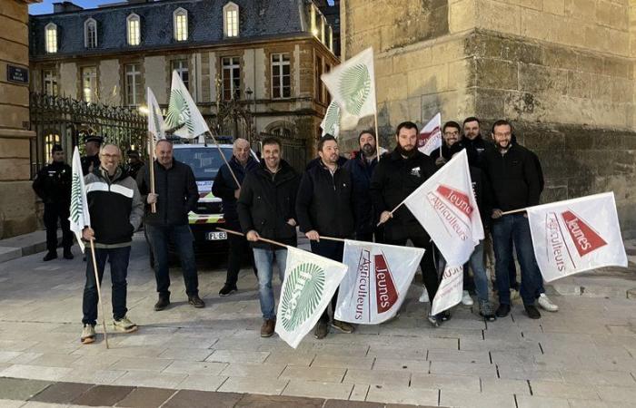 Landwirtschaft: die Anträge des Departementsrats von Lozère gegen den Wolf und den Mercosur