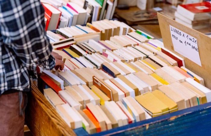 Sollten gebrauchte Bücher besteuert werden oder nicht?