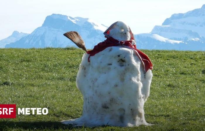 Von weiss zu grün – Schnee, adee! – Meteo