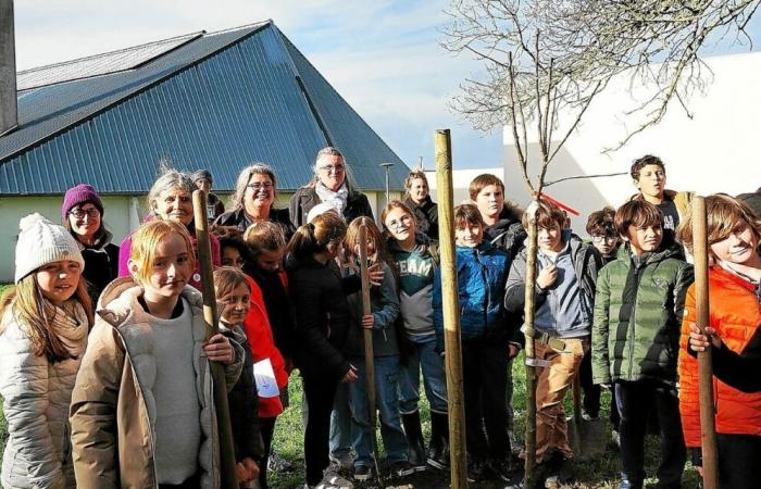 Obstplantage in Trébeurden: Das erste Bürgerprojekt nimmt Fuß