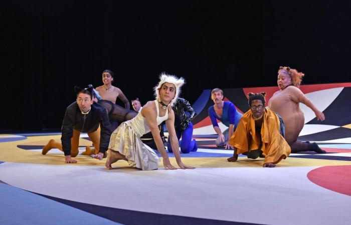 Kommen Sie nach Chaillot – Théâtre national de la Danse (Paris) zur Show „Les chats“!