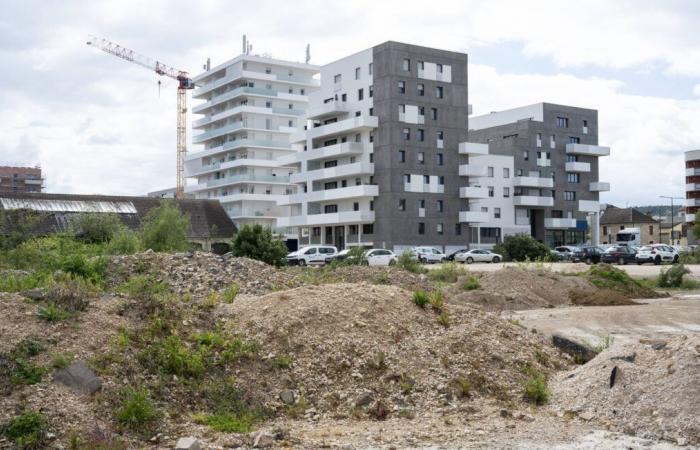 „Eine Wohnung gekauft, eine Wohnung zu gewinnen“… Der erstaunliche Wettbewerb eines schwächelnden Bauträgers