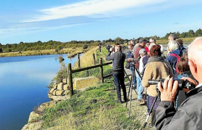 Der Regionale Naturpark feiert diesen Sonntag, den 1. Dezember, im Chor in Vannes