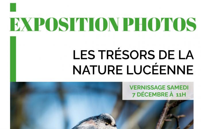 Ausstellung „Schätze der luzianischen Natur“ im Rathaus