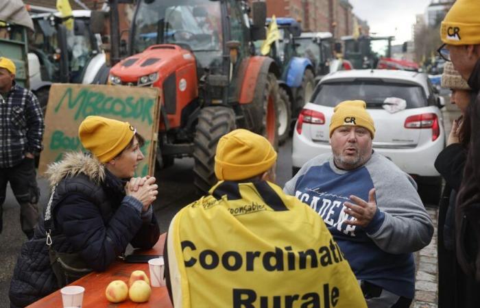 Abstimmung französischer Abgeordneter gegen Mercosur: Welche Auswirkungen auf europäischer Ebene?