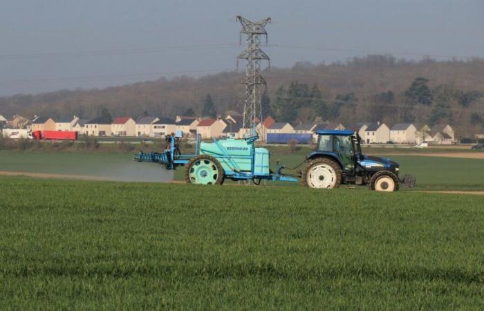 Künstlichkeit der Böden in Seine-et-Marne: Schutz landwirtschaftlicher Flächen löst Debatte aus