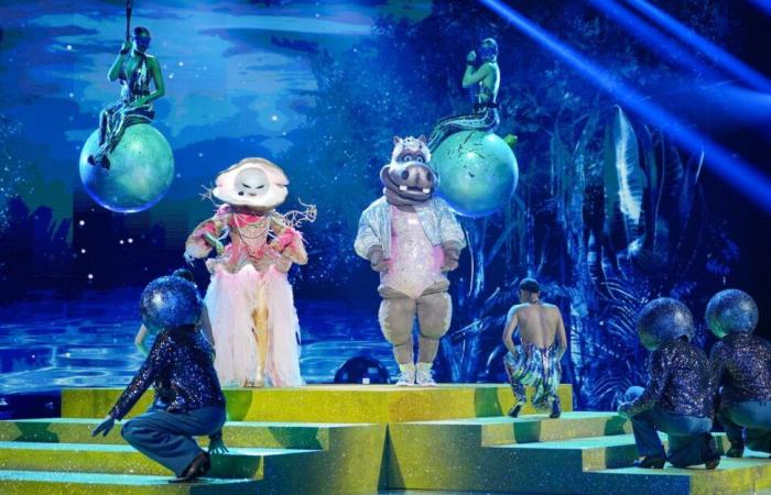 Mask Singer vorzeitig zurück? TF1 kündigt eine Überraschung an!