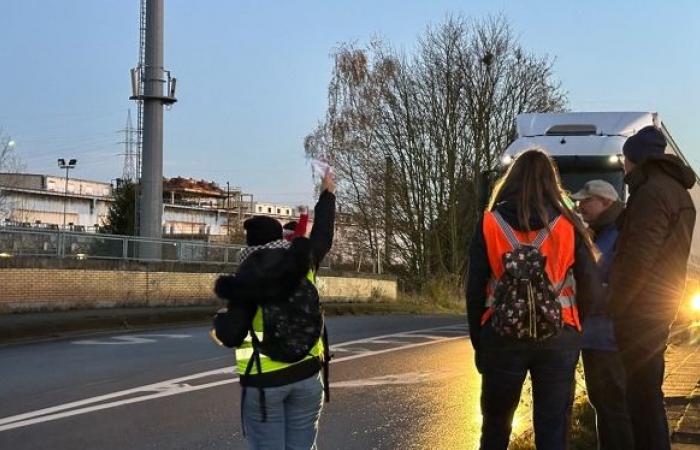 Lehrerstreik: „Schüler, die nicht mithalten, werden wir aus dem Schulsystem rausschmeißen“, beunruhigt Charlotte in La Louvière