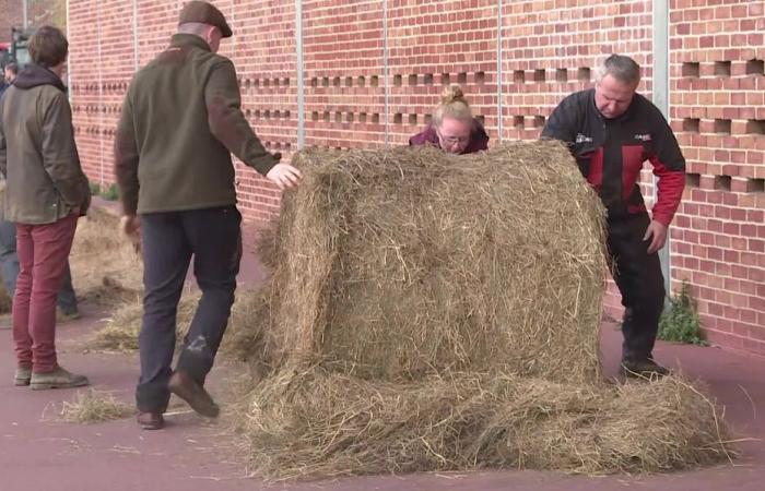 Traktoren, Strohballen, Land… Warum wütende Bauern vor der Wasserbehörde in Rouen demonstrieren