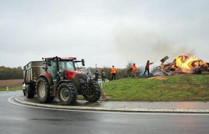 DIREKT. Wut der Bauern, Aktionen in Indre, Deux-Sèvres und Vienne