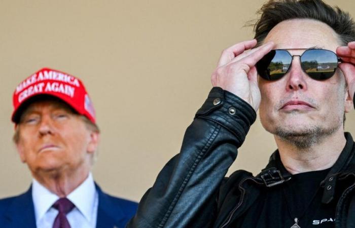 Drei Wochen nach der Wahl von Donald Trump ist Elon Musk reicher als je zuvor