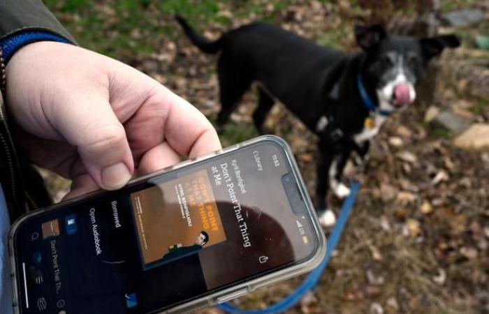 Die Einführung von Spotify in Hörbüchern beflügelt den Sektor