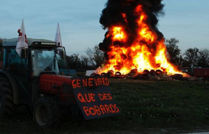 LIVE. Wütende Bauern: Ende der Blockade der Südmaut der A9 in Perpignan, an diesem Dienstagabend