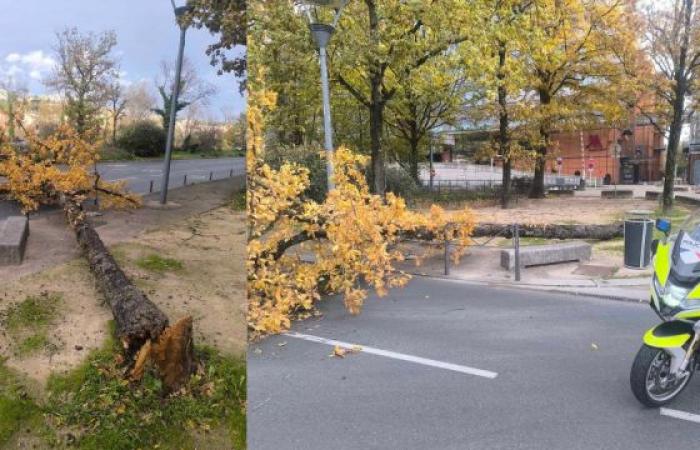 Sturm Bert: beeindruckende Schäden in der Auvergne-Rhône-Alpes